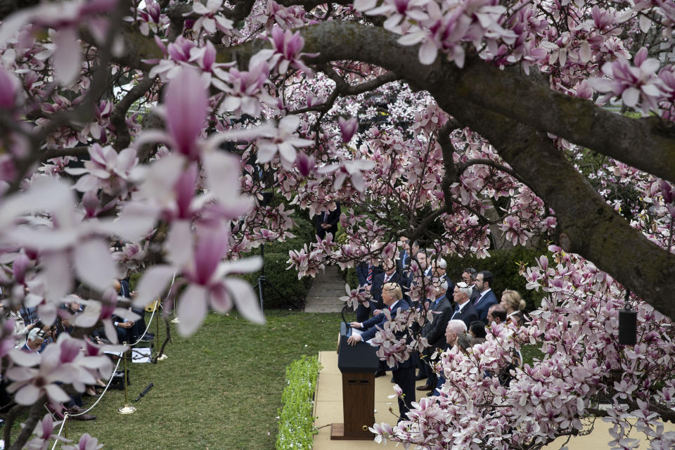 President Donald Trump speaks during a news conference about the coronavirus in the Rose Garden at the White House, Friday, March 13, 2020, in Washington. (AP Photo/Alex Brandon)