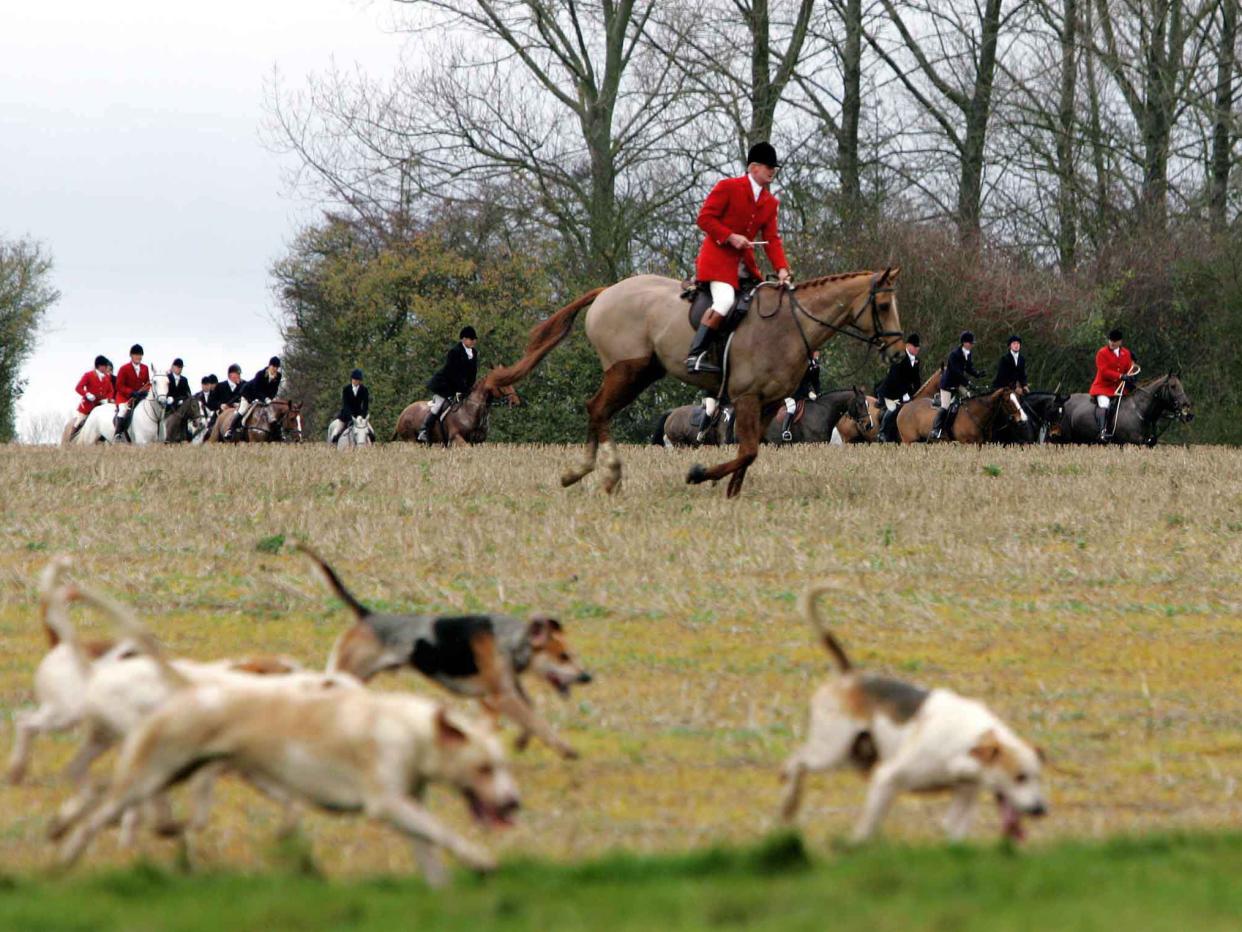 The new deputy chairman of Natural England is a long-time supporter of hunting: REUTERS