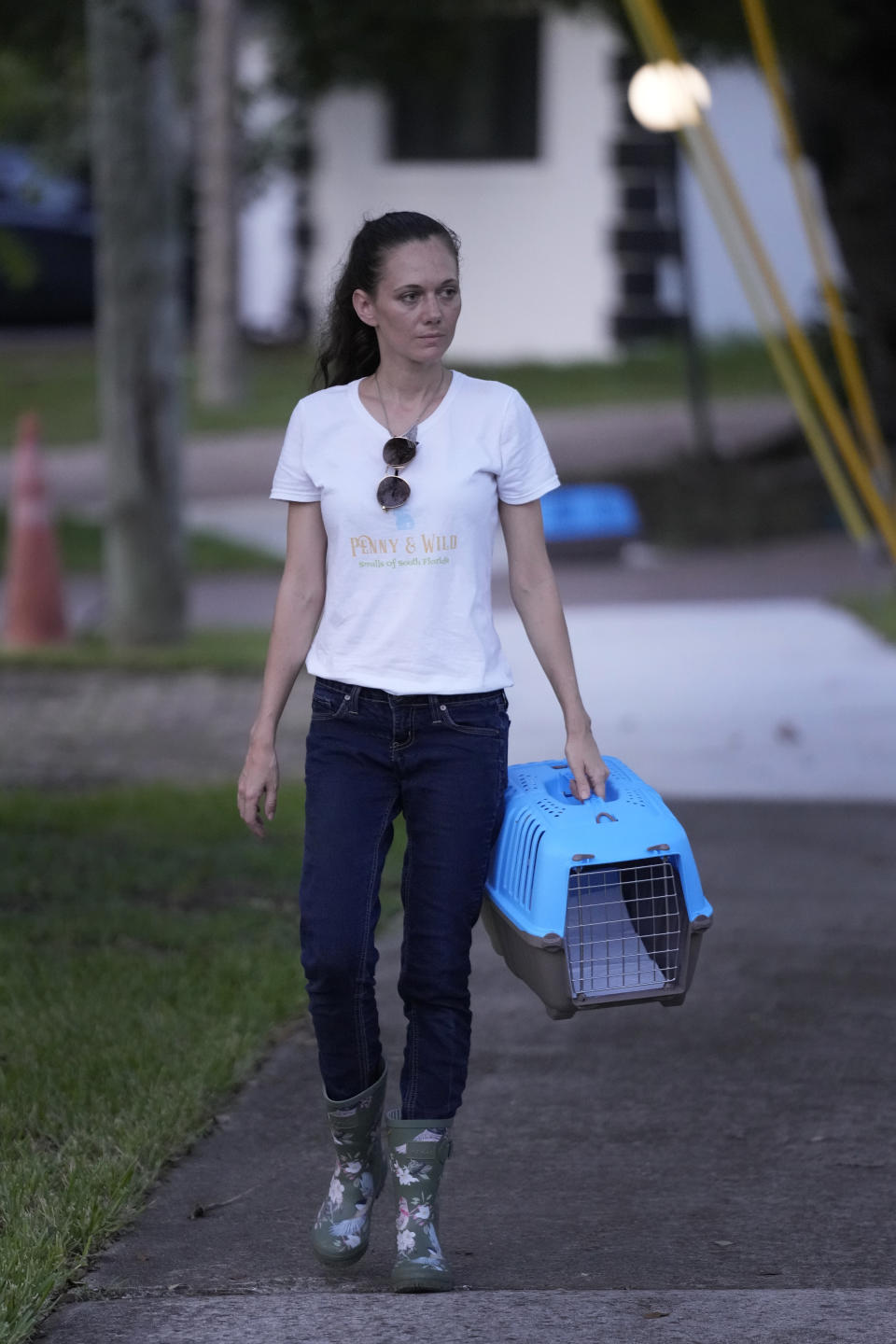 Kristina Gertser, with the rescue group Penny & Wild Smalls of South Florida, walks with a small animal crate as she attempts to capture rabbits, Thursday, July 20, 2023, in Wilton Manors, Fla. Efforts are underway to rescue the domesticated rabbits that have populated a Florida neighborhood. Rescue groups are using traps, hands and sometimes nets to capture the 60 to 100 lionhead rabbits living in a community near Fort Lauderdale. (AP Photo/Wilfredo Lee)