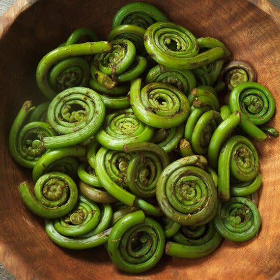 original-201405-HD-fiddlehead-ferns.jpg