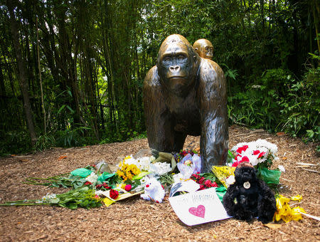 Flowers lay around a bronze statue of a gorilla and her baby outside the Cincinnati Zoo's Gorilla World exhibit, two days after a boy tumbled into its moat and officials were forced to kill Harambe, a 17-year-old Western lowland silverback gorilla, in Cincinnati, Ohio, May 30, 2016. REUTERS/William Philpott