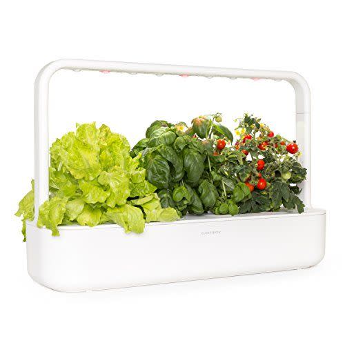 4) Indoor Herb Garden Kit with Grow Light