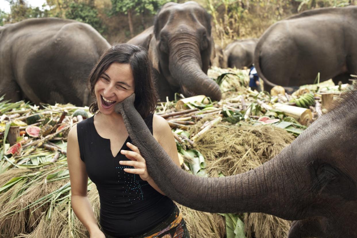 A tourist on National Elephant Day in Thailand. <a href="https://www.gettyimages.com/detail/photo/the-elephant-kiss-royalty-free-image/185276493?phrase=elephant+tourism&adppopup=true" rel="nofollow noopener" target="_blank" data-ylk="slk:oneclearvision/Getty Images;elm:context_link;itc:0;sec:content-canvas" class="link ">oneclearvision/Getty Images</a>