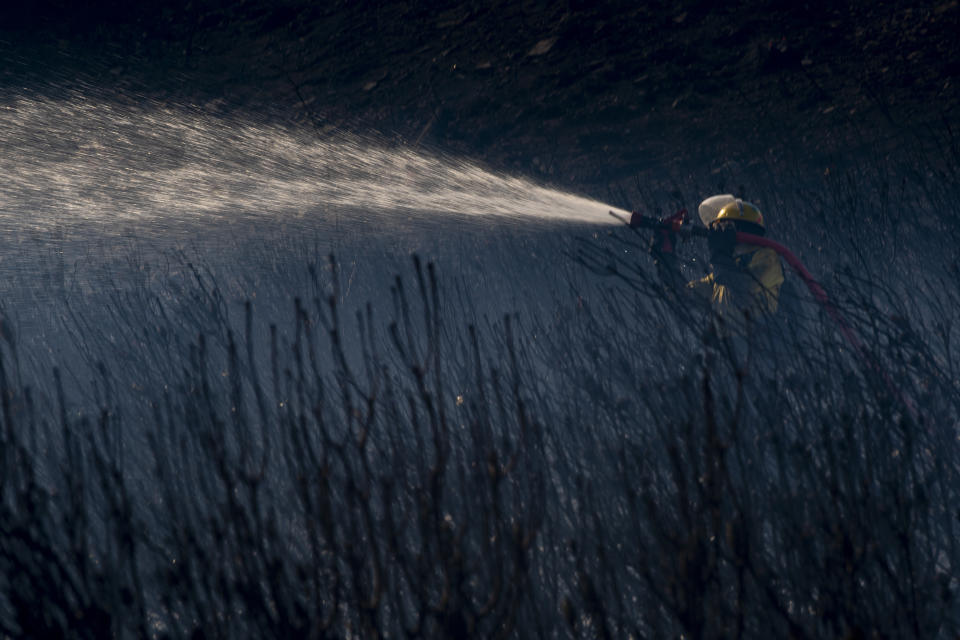 A fireman douses vegetation on the slopes of Table Mountain in Cape Town, South Africa, Monday, April 19, 2021.People were evacuated from Cape Town neighborhoods as a raging wildfire sweeping across the slopes of the city’s famed Table Mountain was fanned by high winds and threatened homes. City authorities said the fire, which started early Sunday, was still not under control. The blaze has already burned the library and other buildings on the campus of the University of Cape Town. (AP Photo)