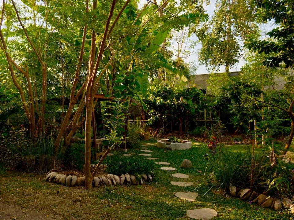 The garden.