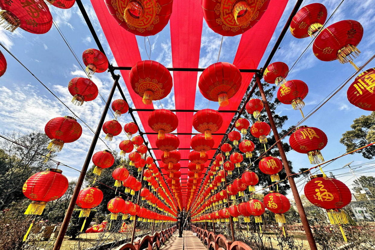 Décorations pour la célébration du Nouvel An chinois au parc de Kathmandu, au Népal, le 7 février 2024.  - Credit:Zuma / Zuma/ABACA