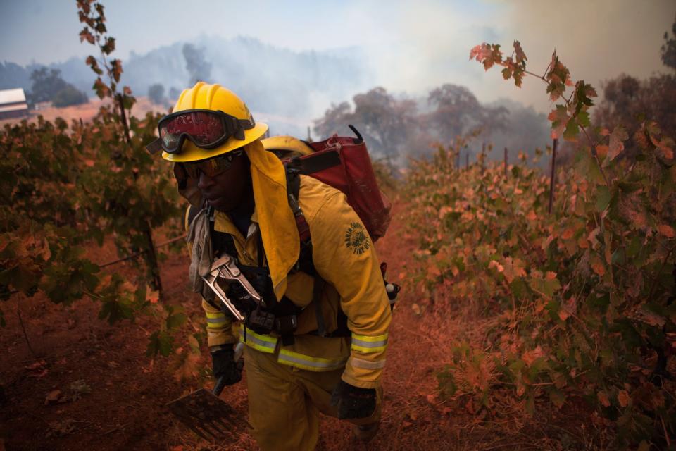 Marin County firefighter Brett Grayson walks through a vineyard looking for spot fires from the "Sand Fire" near Plymouth, California