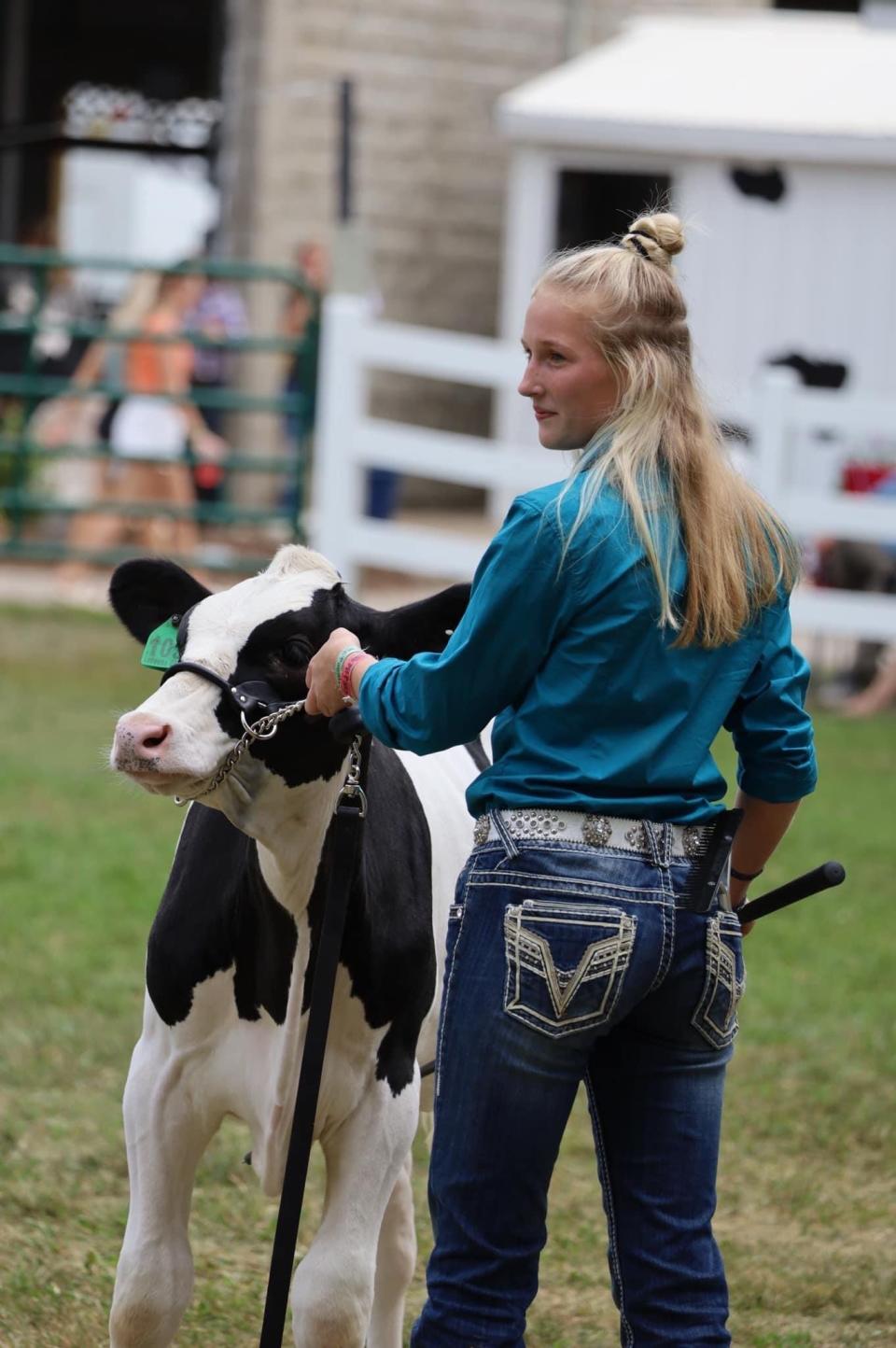 Mekeal Alcock of Sand Creek shows her dairy feeder calf, Archie, during the 2022 Lenawee County Fair.