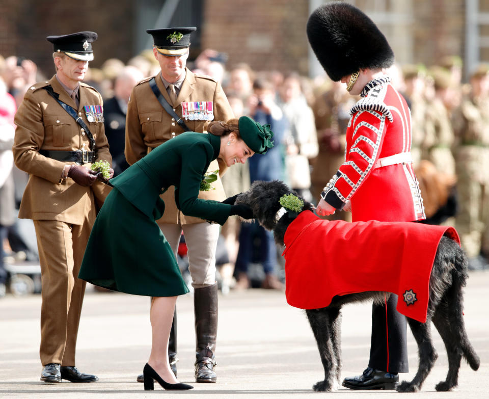 The Duchess of Cambridge presents Irish Wolfhound Domhnall, regimental mascot of the Irish Guards, with a sprig of shamrock during the St Patrick's Day Parade on Sunday. (Photo: Max Mumby/Indigo via Getty Images)