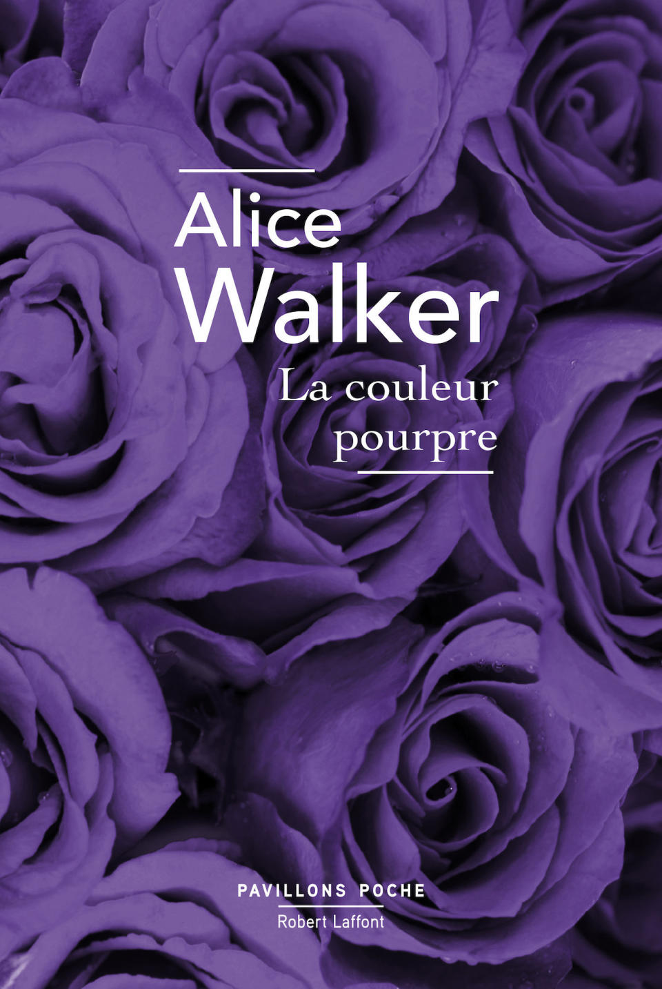 4. « La couleur pourpre » d’Alice Walker, éditions Robert Laffont