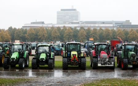 Demonstration of Dutch farmers in The Hague