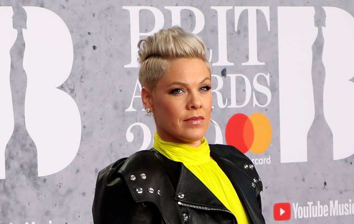 Pink took to X to call out a nasty social media user  (Vianney Le Caer/Invision/AP)