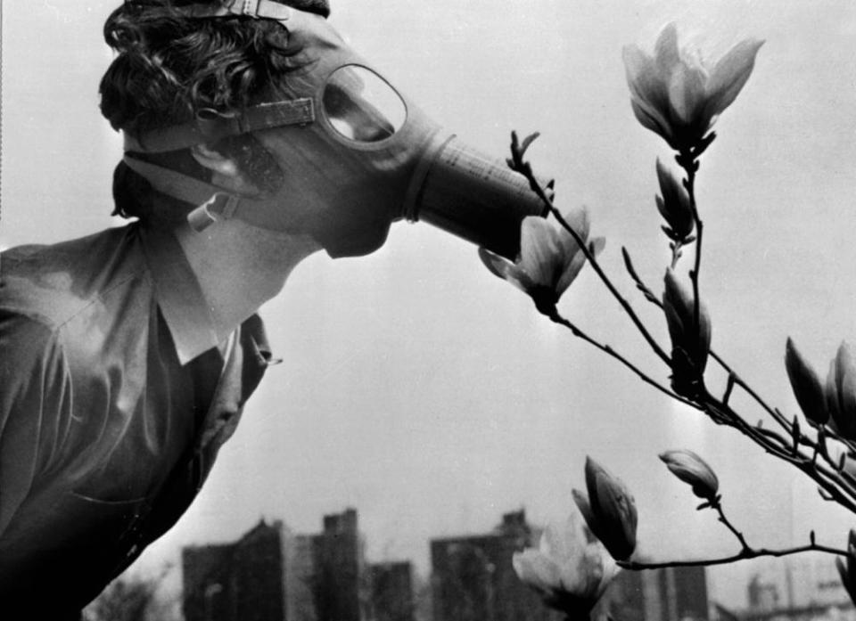 A student in New York protests on Earth Day, 1970, which Kerry helped organise.