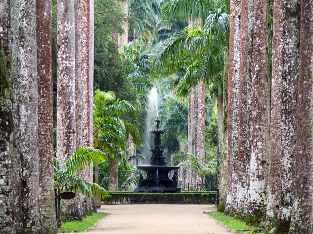 <p>Water fountain at Jardim Botanico in Rio de Janeiro</p> (Getty/iStockphoto)