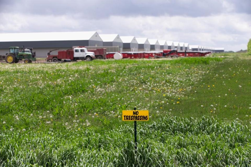 A farm in Iowa hit by the outbreak