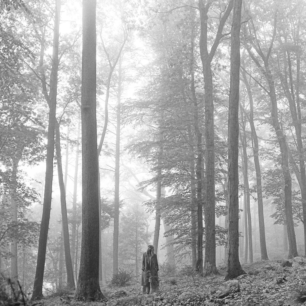 a person walking through a forest