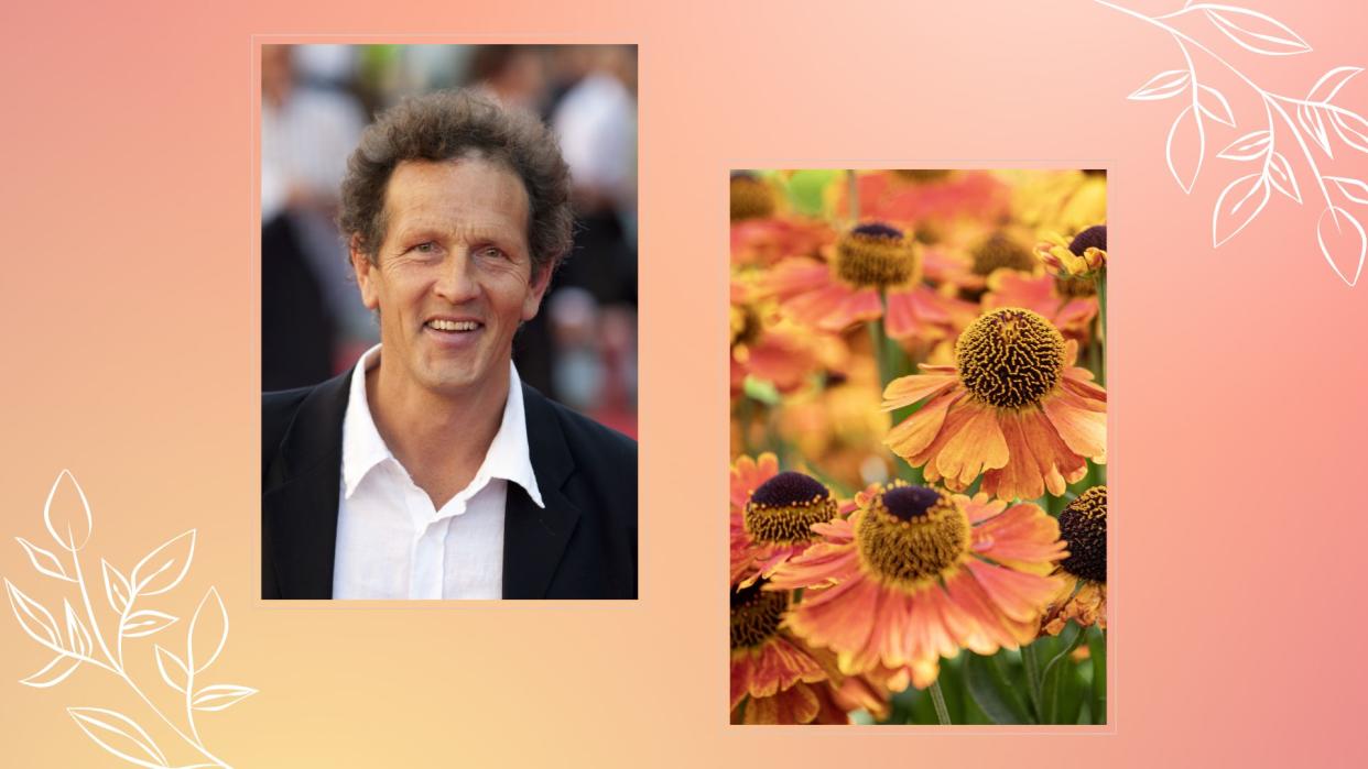   composite image of monty don and heleniums in a garden. 