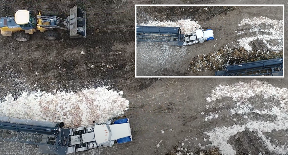 Drone footage taken by Mercy for Animals showing thousands of dead chickens at a poultry farm in Iowa, as bird flu spreads further throughout the world. 