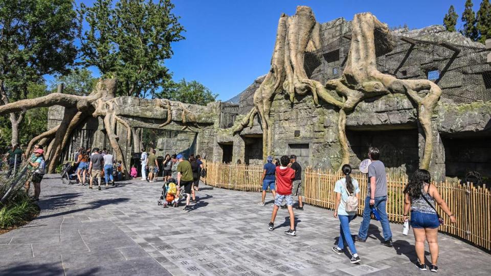 A Southeast Asian motif with stone tree roots and Angkor Wat-style tempe ruins extend along the exhibits at the new Kingdoms of Asia section of the Fresno Chaffee Zoo that officially opened to the public on Saturday, June 3, 2023. CRAIG KOHLRUSS/ckohlruss@fresnobee.com