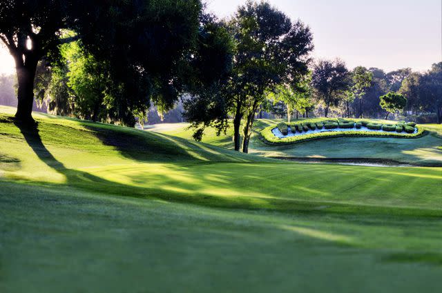 Photo Courtesy of Innisbrook Resort One of the Innisbrook Resort's Golf Courses