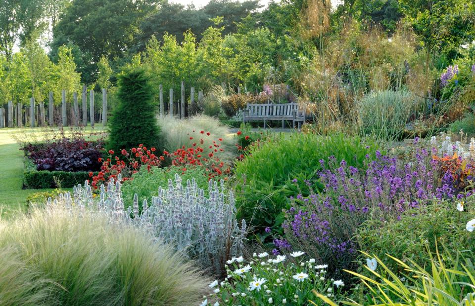 Coldcotes Moor Garden in Yorkshire (National Garden Scheme/PA)