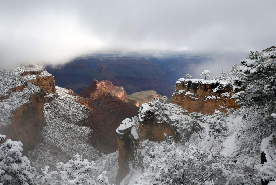 A snowstorm blanketed the South Rim of Grand Canyon on March 19, 2020.