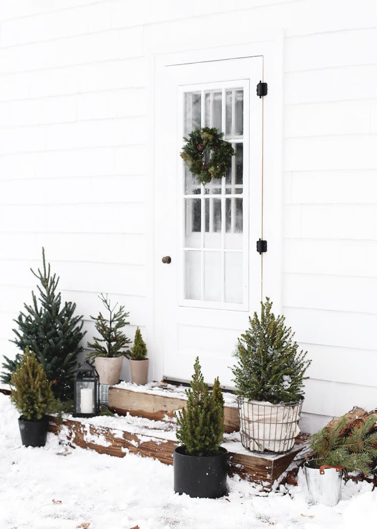 Simple Evergreen Outdoor Display