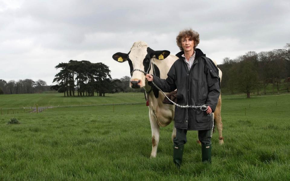 The Marchioness with one of her prize cows: she called them her 'ladies' - Darren Kidd/Presseye.com