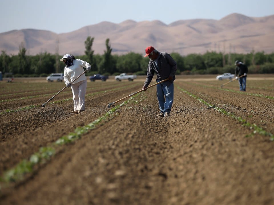 Farmers