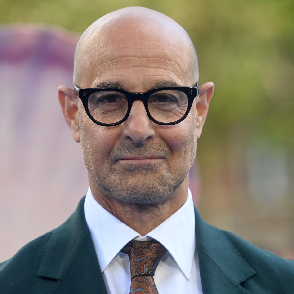  Stanley Tucci portrait 