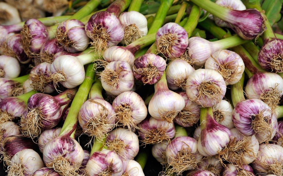 garlic - Alamy