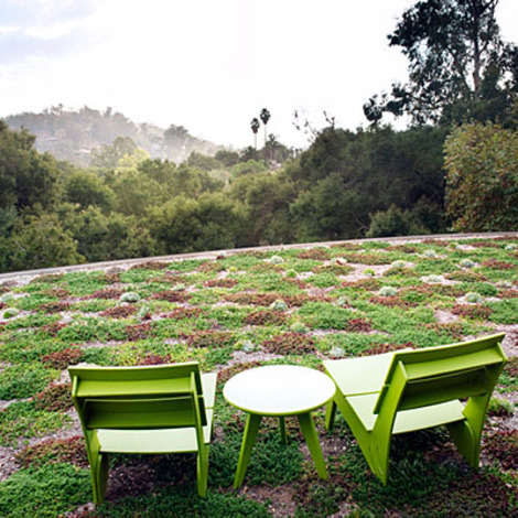 An elevated garden with an ocean view