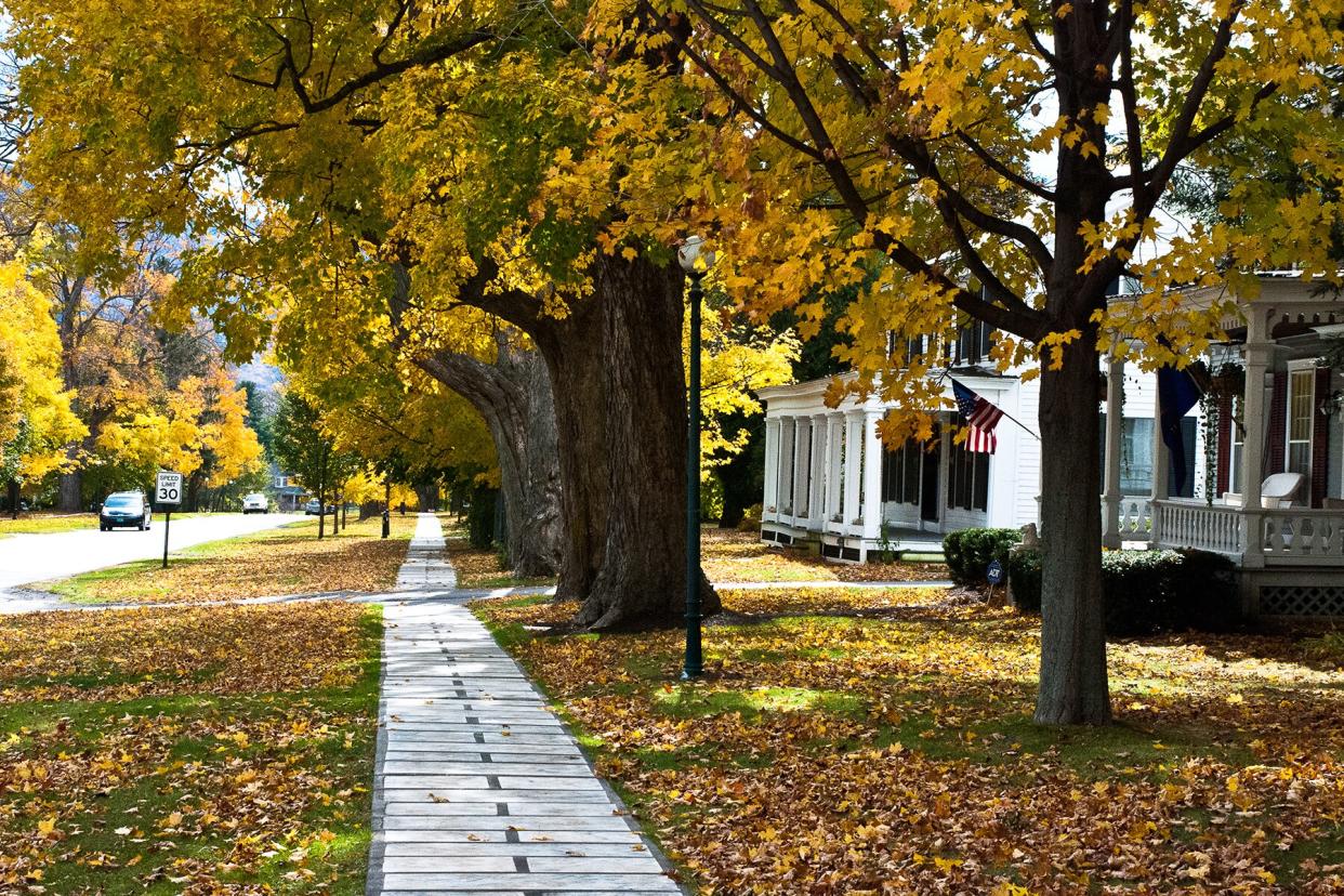 Fall Leaves and Tree-lined Sidewalk in Manchester Village Vermont