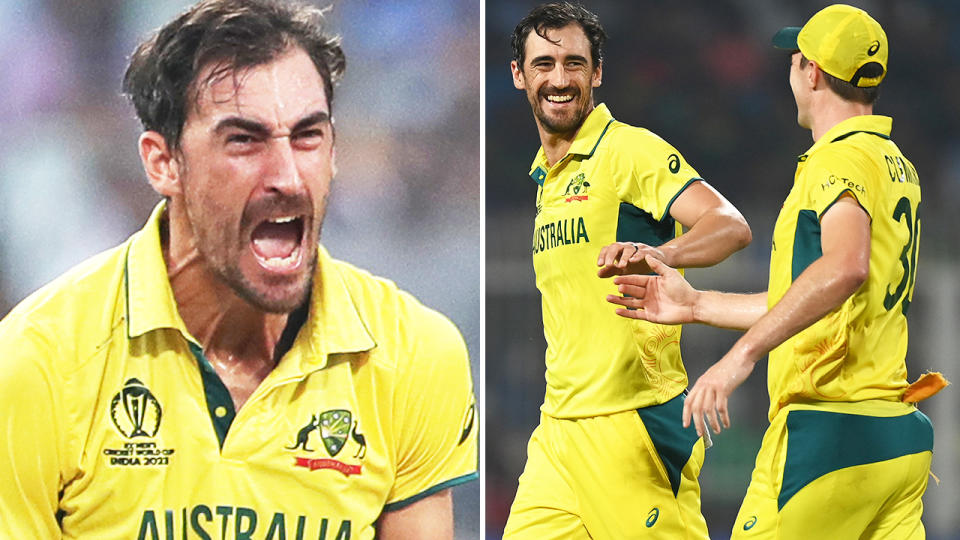 Mitchell Starc had his best game so far at the Cricket World Cup.