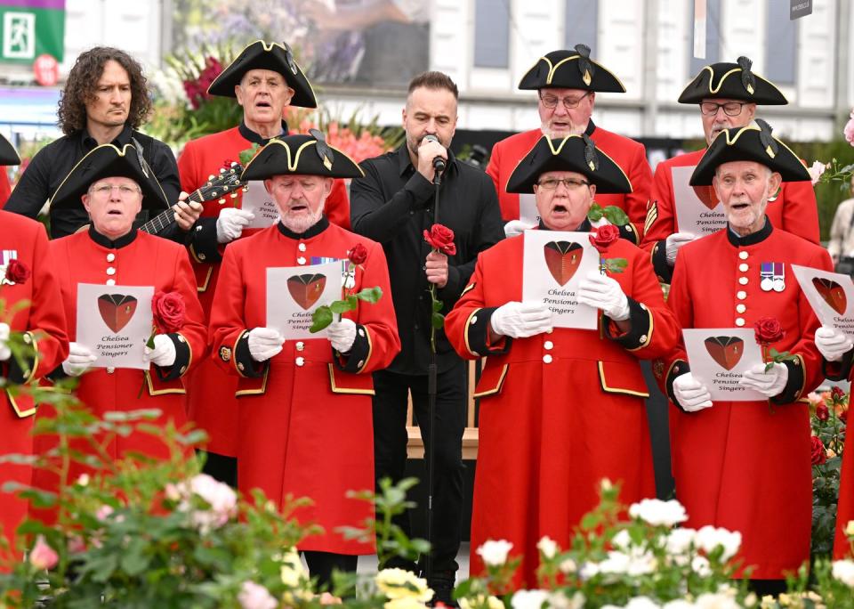 harkness roses, chelsea pensioner rose debuts at the rhs chelsea flower show 2024