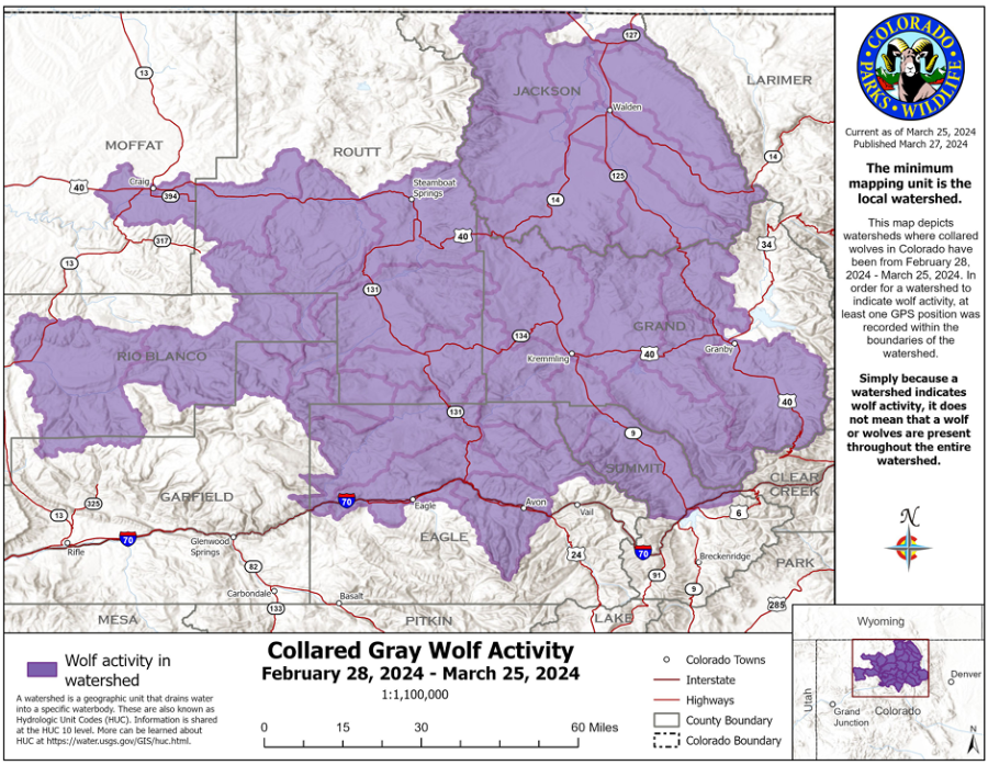 This map shows collared gray wolf activity recorded by CPW from Feb. 28 to March 25, 2024. (Courtesy Colorado Parks and Wildlife)