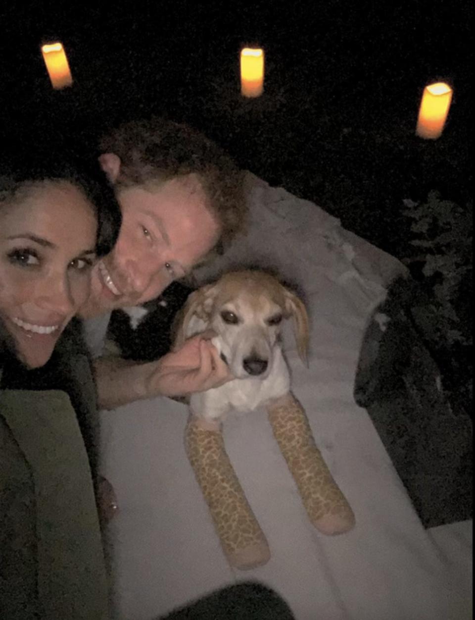 Prince Harry and Meghan Markle on a blanket with their dog after they got engaged in 2017.