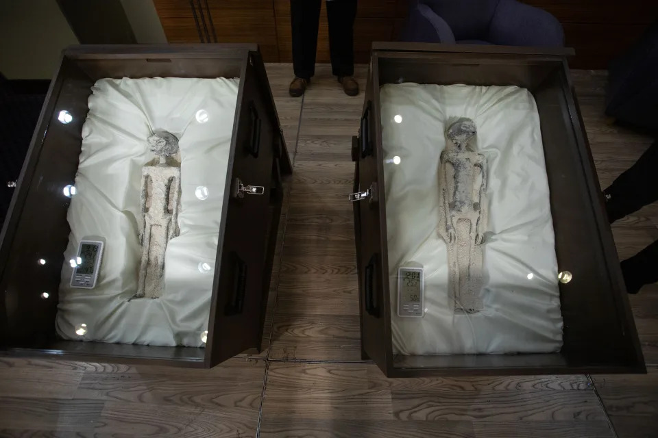 Los 'cuerpos no humanos' que presentó Maussan (Daniel Cardenas/Anadolu Agency via Getty Images)