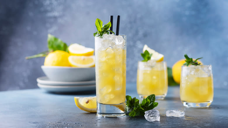 a citrus mojito