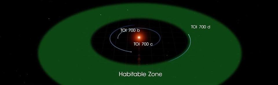 The TOI-700 system has a large habitable zone, and the newly discovered TOI-700 e, not shown in this image, orbits the star along the inner edge of the habitable zone. <a href="https://www.jpl.nasa.gov/spaceimages/images/largesize/PIA23407_hires.jpg" rel="nofollow noopener" target="_blank" data-ylk="slk:NASA's Goddard Space Flight Center;elm:context_link;itc:0;sec:content-canvas" class="link ">NASA's Goddard Space Flight Center</a>