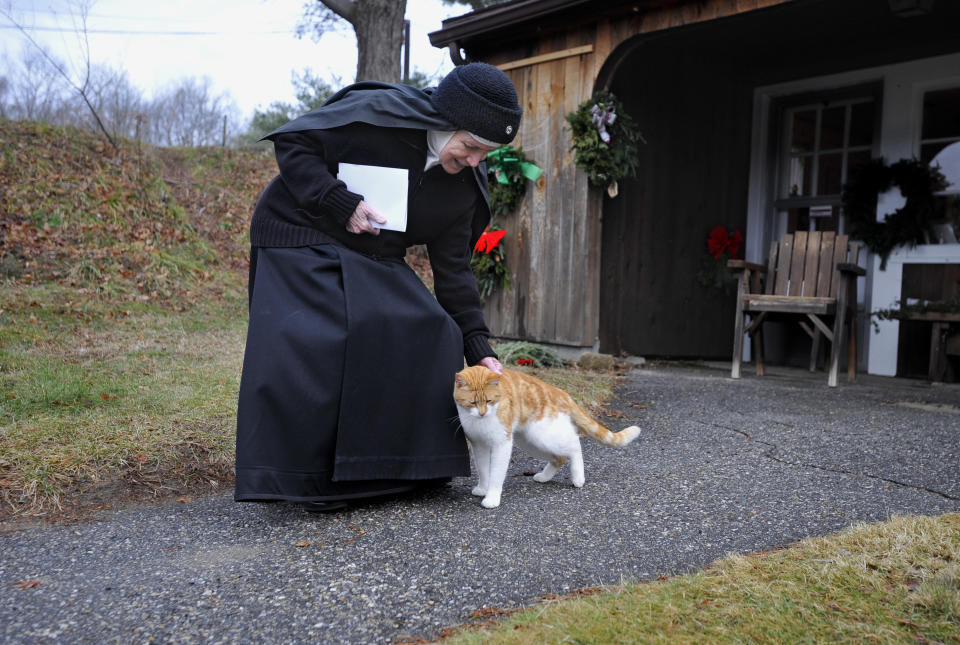In this Thursday, Dec. 22, 2011 photo, Mother Dolores Hart pets a cat at the Abbey of Regina Laudis monastery in Bethlehem, Conn. Mother Dolores, a cloistered nun whose luminous blue eyes entranced Elvis Presley in his first on-screen movie kiss, is praying for a Christmas miracle. She walked away from Hollywood stardom in 1963 to become a nun in rural Bethlehem. Now she finds herself back in the spotlight, but this time it's all about serving the King of Kings, not smooching the King of Rock and Roll. The former brass factory that houses Mother Dolores and about 40 other nuns cloistered at the Abbey of Regina Laudis needs millions of dollars in renovations to meet fire and safety codes, add an elevator and make handicap accessibility upgrades. (AP Photo/Jessica Hill)