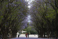 People walk in Zappeion, in Athens, Monday June 1, 2020. Greece reopen preschools, kindergartens and primary schools on Monday in the latest round of easing coronavirus pandemic restrictions imposed in late March. With regular ferry services to its islands back in service, cafes and restaurants back open for business and more flights from abroad to restart gradually on June 15, the country accelerates its efforts to salvage its tourism season. (AP Photo/Lefteris Pitarakis)