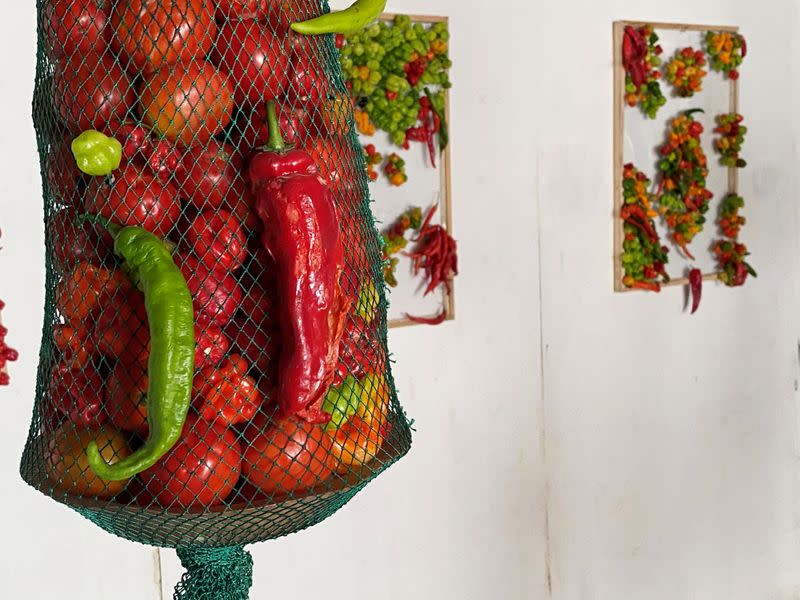 General view of an exhibition of fresh pepper motive set up by Nigerian artist Fela Keko at a gallery in Iwaya