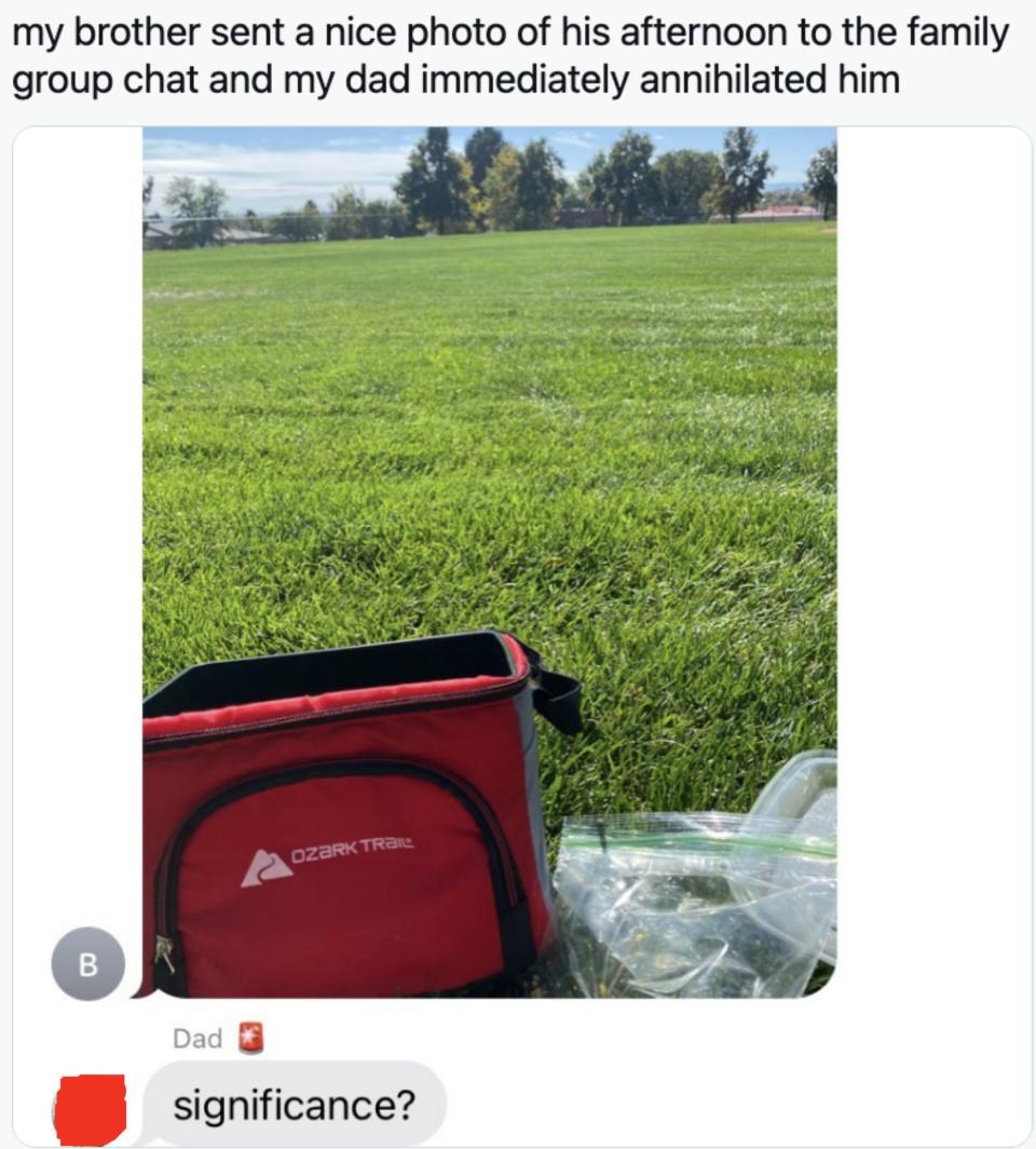 Someone sends a photo of a picnic they're having in a field, and their dad simply replies "significance?"