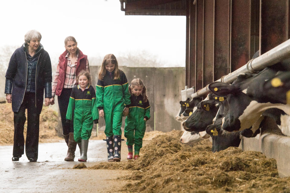 Prime minister Theresa May on a farm visit in Bangor, Northern Ireland, in March this year. Photo: Getty