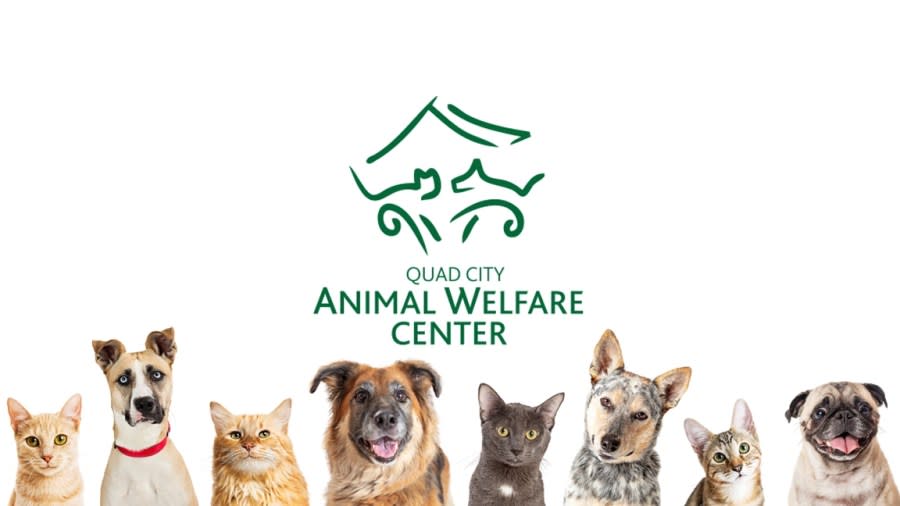 Quad City Animal Welfare Center (qcawc.org)