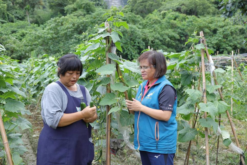 王鄉長與深入部落探視種植農作嚴重損失。