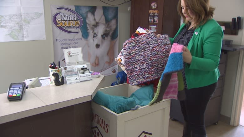 A P.E.I. woman is making the purrfect cat bed, one sweater at a time