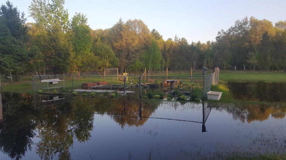 This 2019 photo shows Kerri Harter’s flooded garden at her home near the Crex Meadows Wildlife Area in Grantsburg, Wis. Some residents who live near the 30,000-acre state-owned property of wetlands, brush prairies and forests in Burnett County have often complained to the Natural Resources Board about high water flooding their land and damaging roads. They take issue with the Department of Natural Resources' position that the high water is a natural phenomenon not caused by management actions.The flooded photos are from 2019.