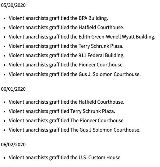 Chad Wolf on what "violent anarchists" are up to in Portland, Oregon. (Photo: Screen Shot/DHS website)